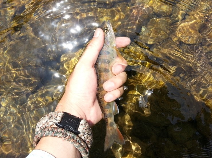 스크린샷 2014-06-05 오후 10.52.04.png