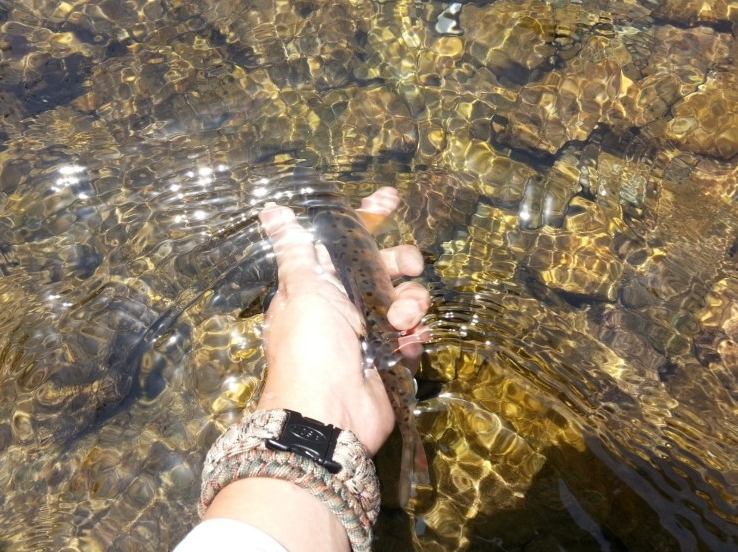 스크린샷 2014-06-05 오후 10.52.31.png
