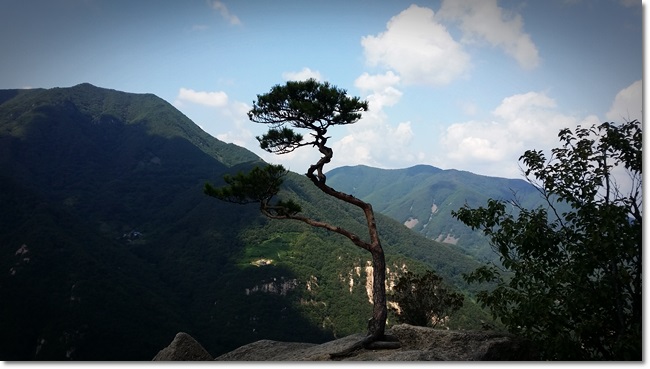20150904_131114.jpg