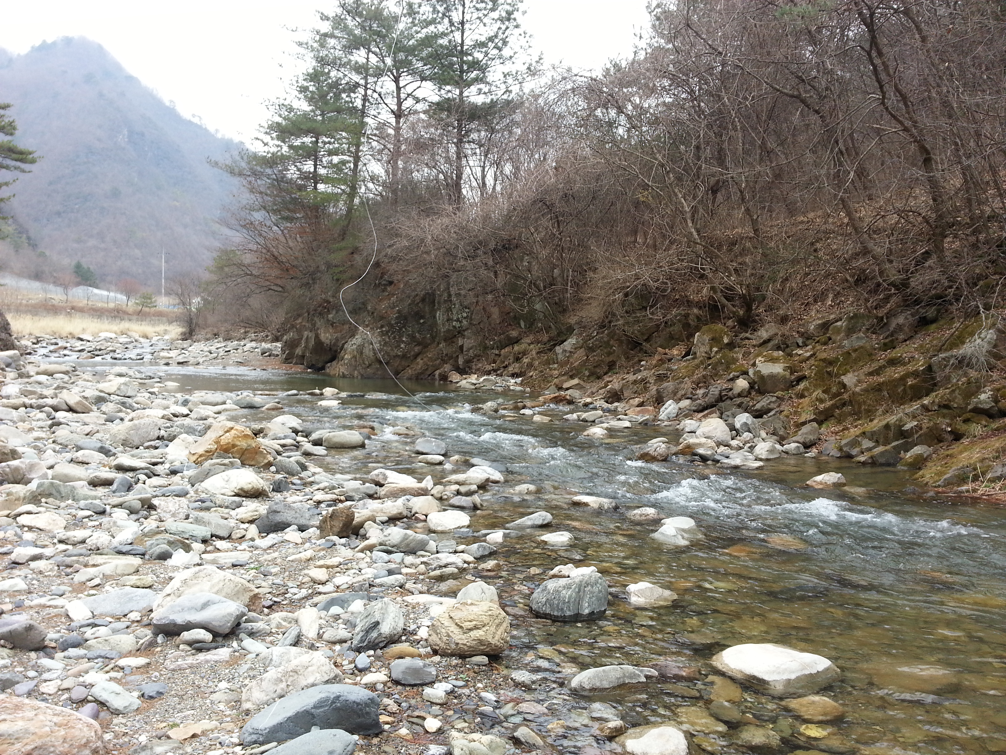 20140326_132540.jpg