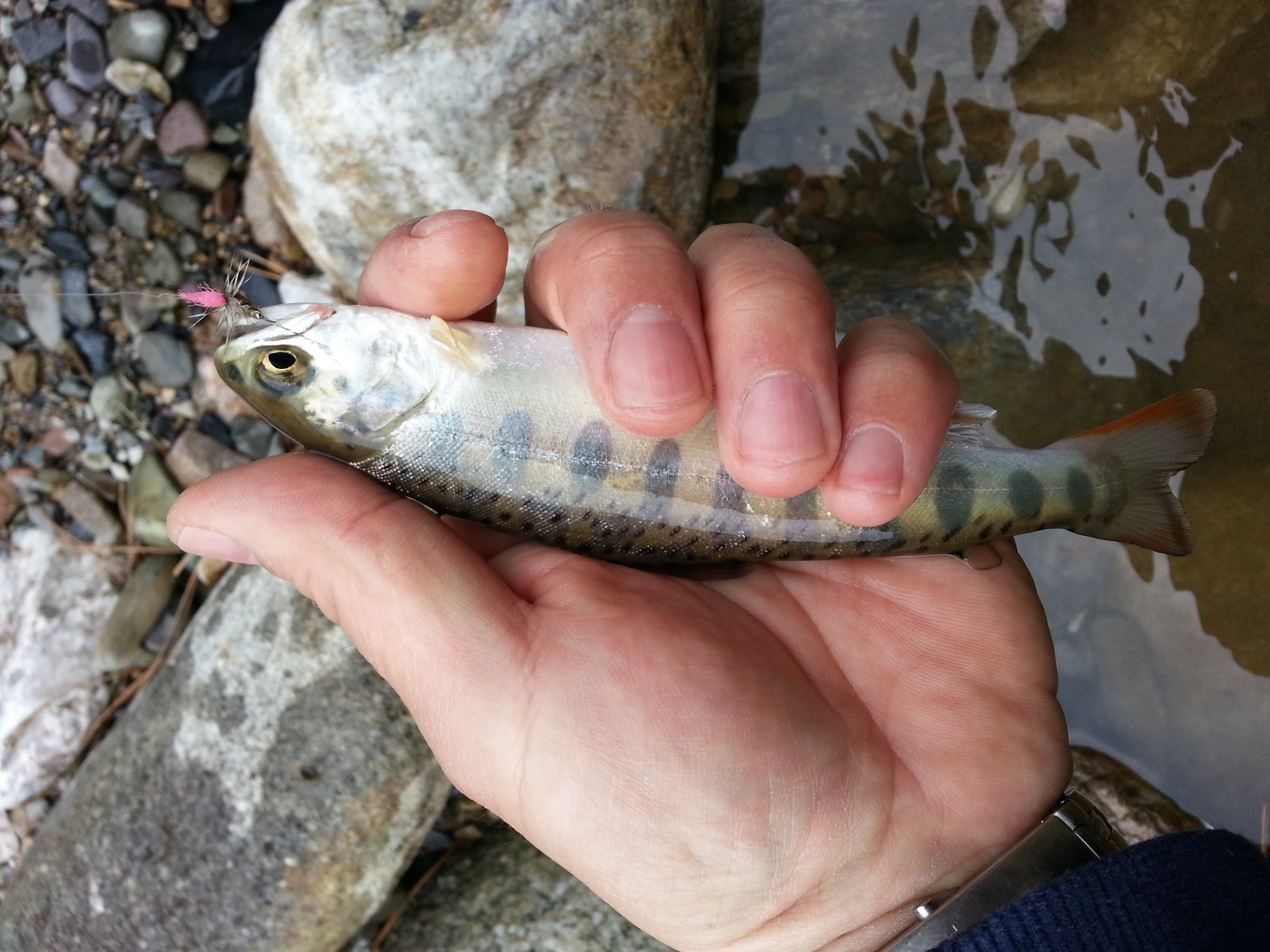 20140326_132220.jpg