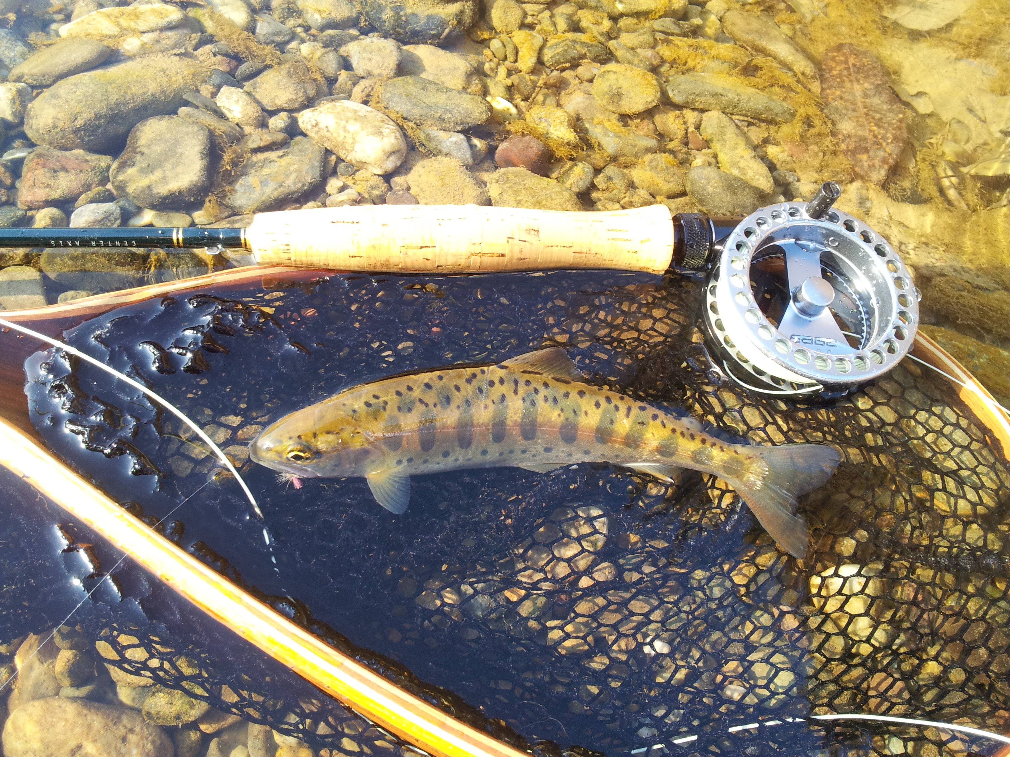 20140308_163900.jpg