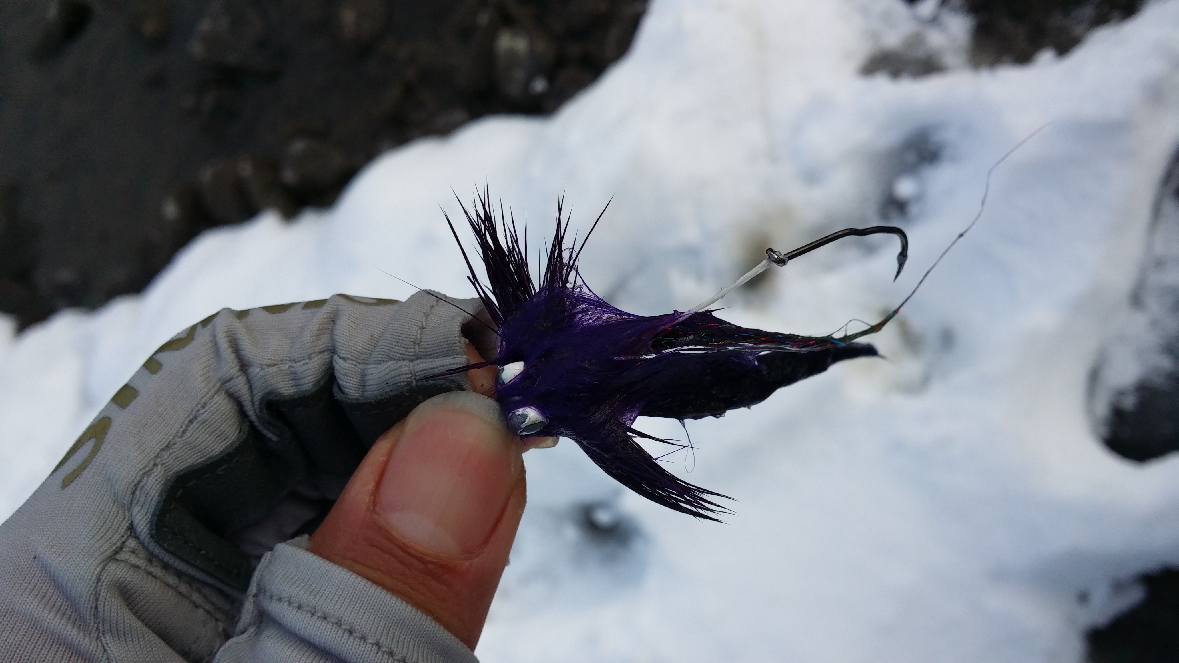 20150111_130009.jpg