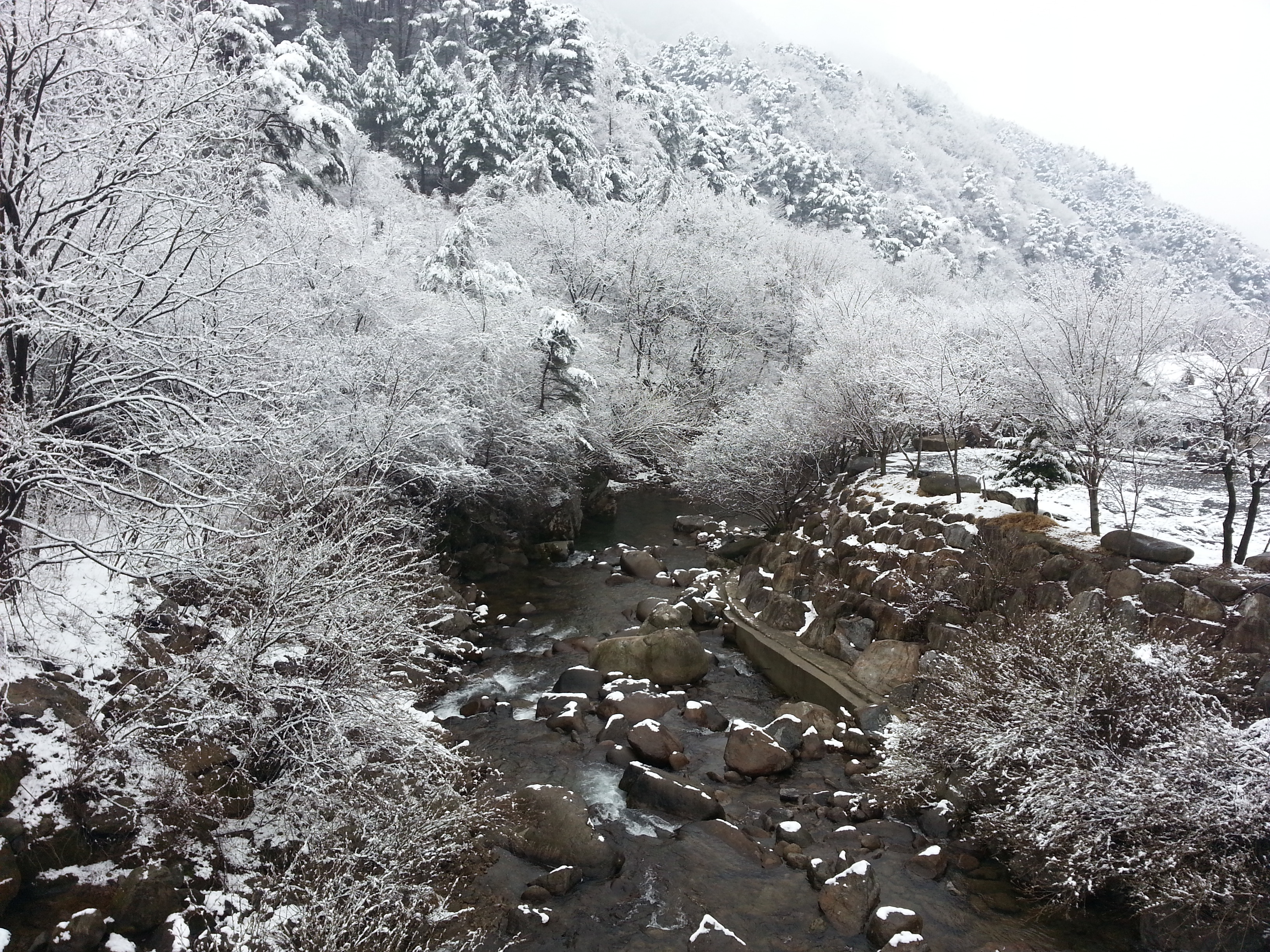 20140321_102920.jpg