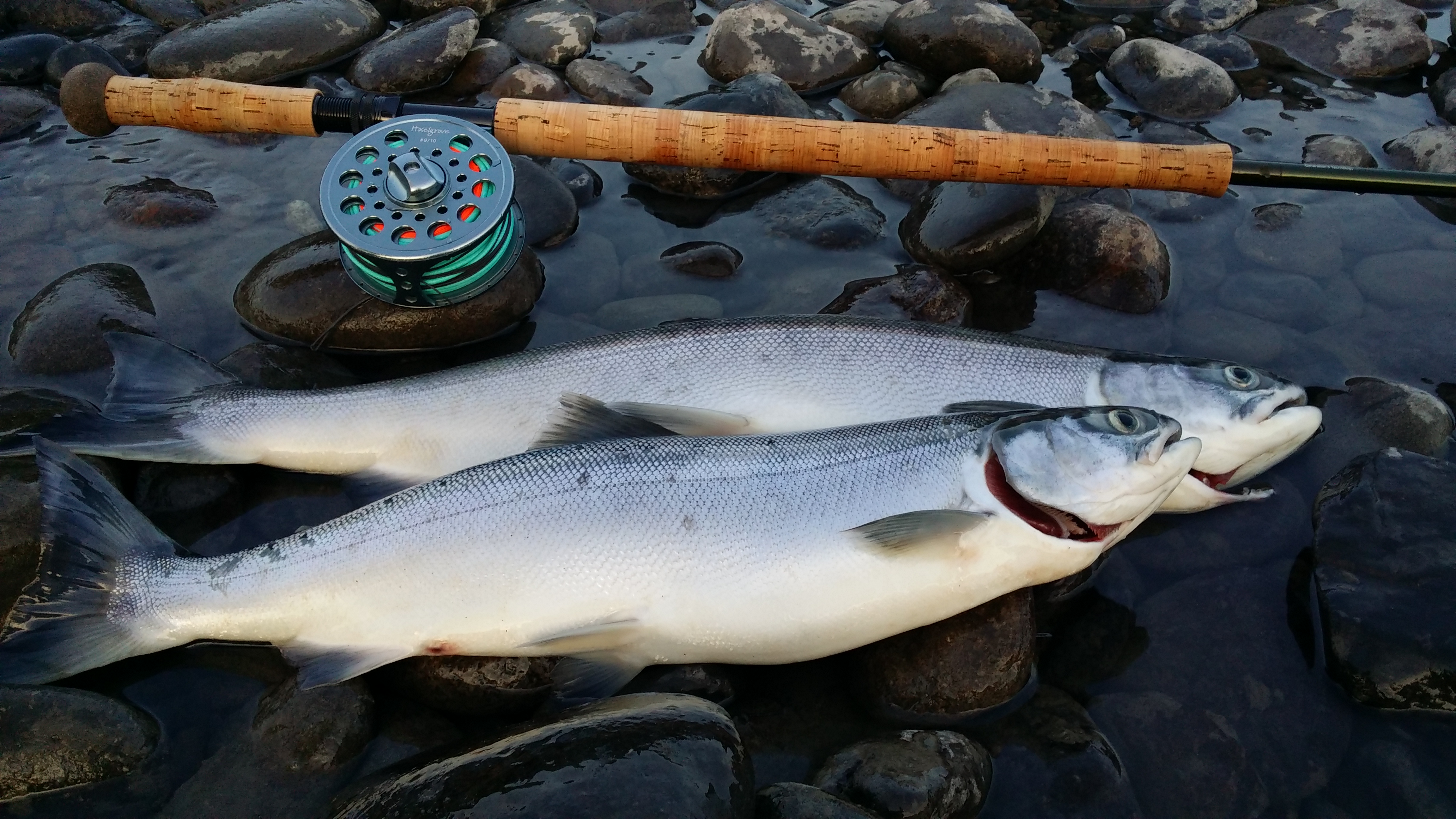 20140812_203921.jpg