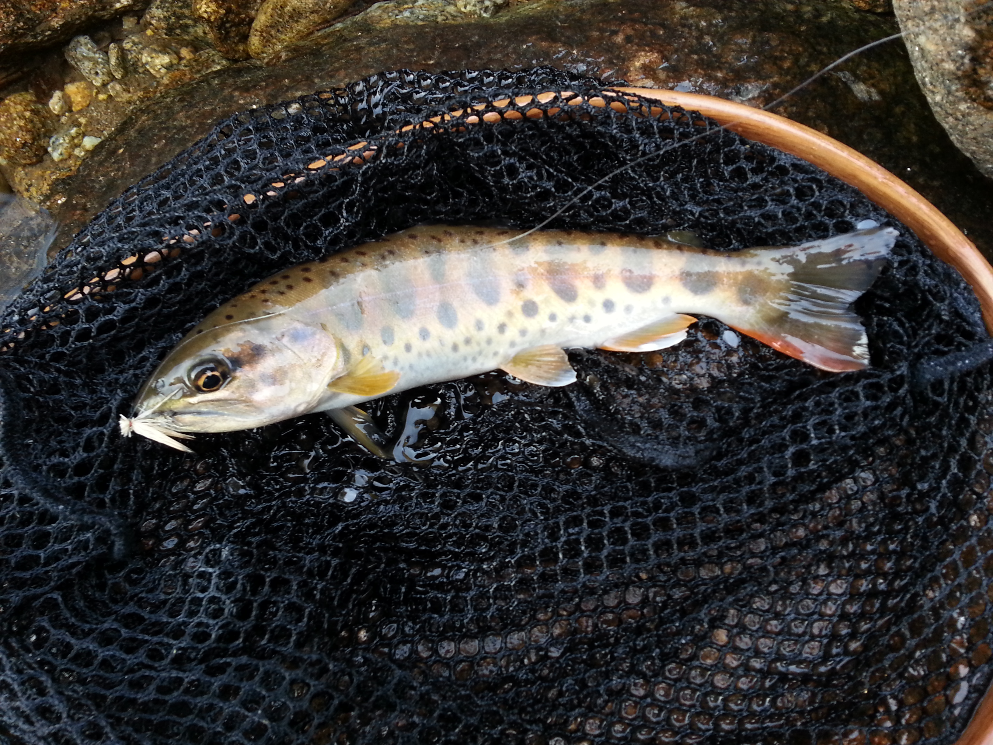 20140324_172829.jpg