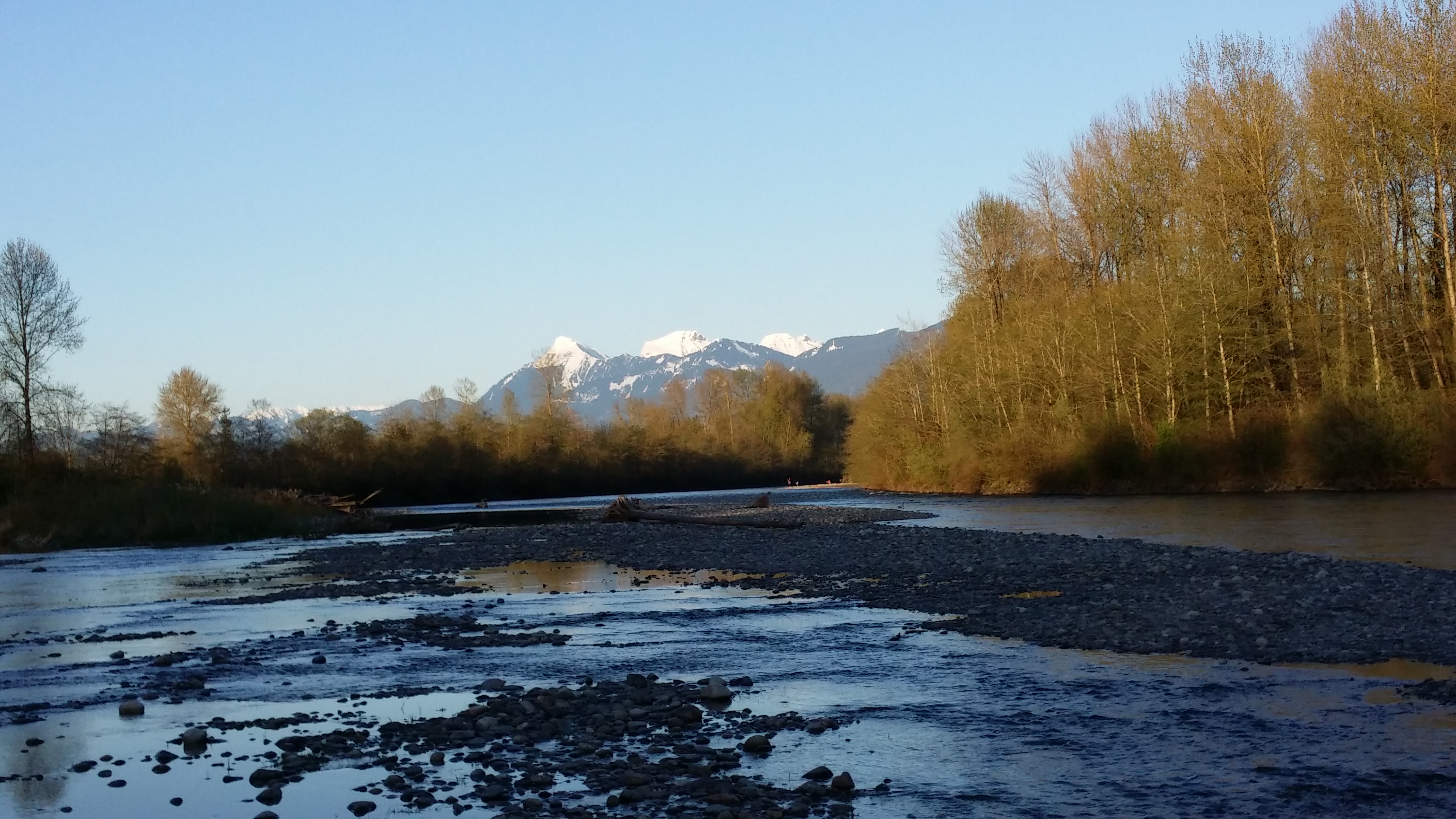 20140412_190445.jpg