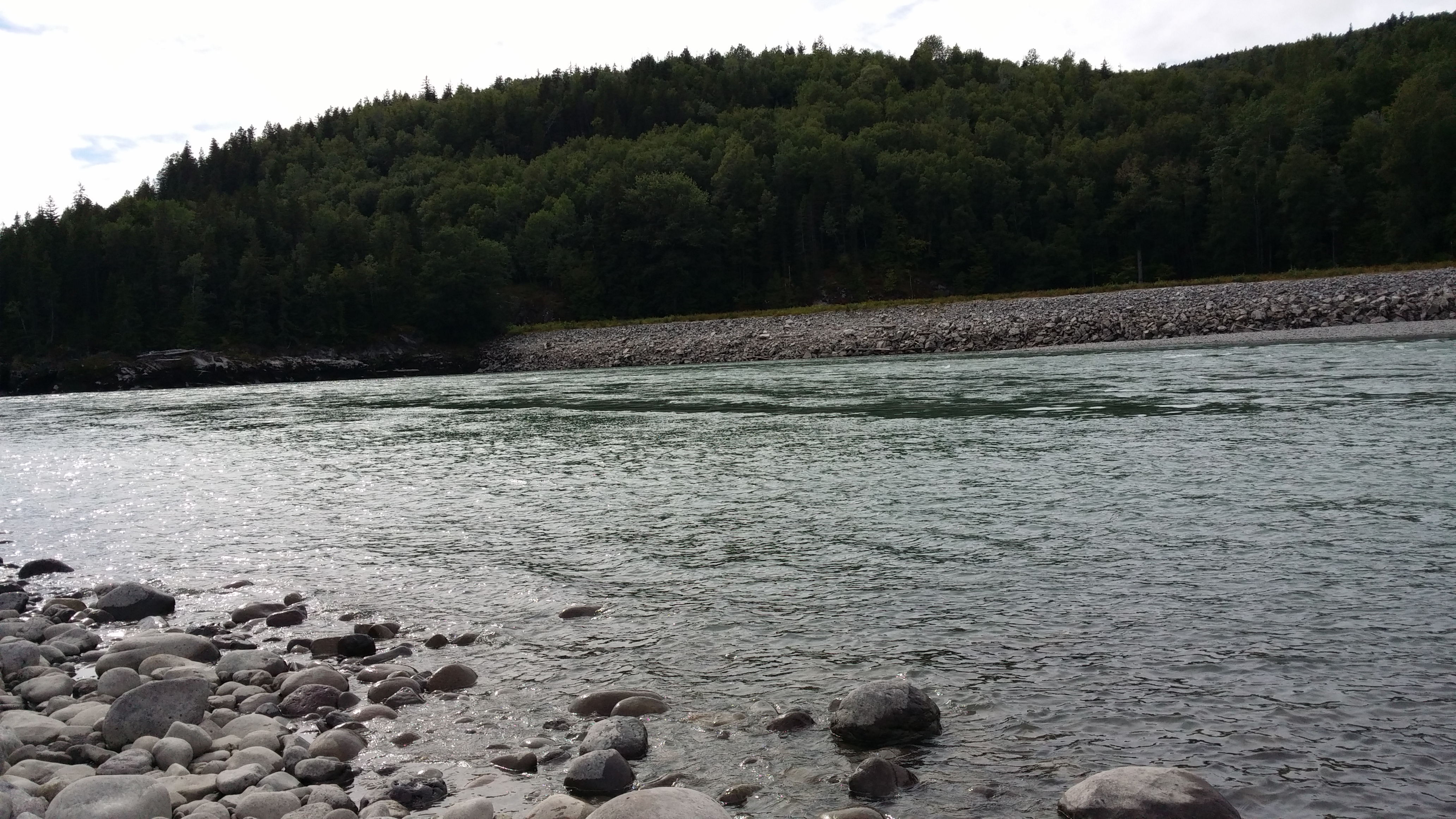 20140810_162035.jpg