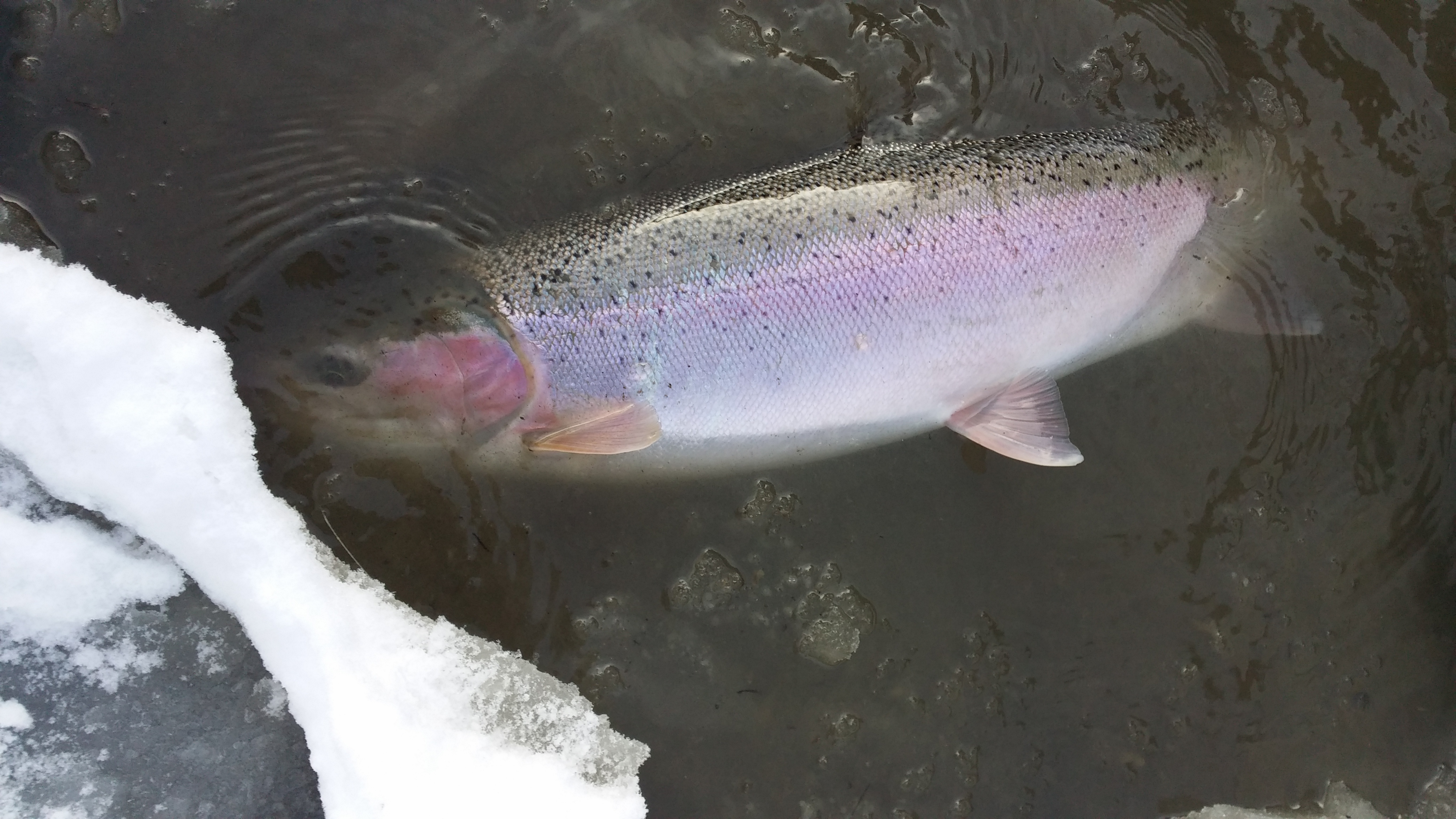 20150111_125620.jpg