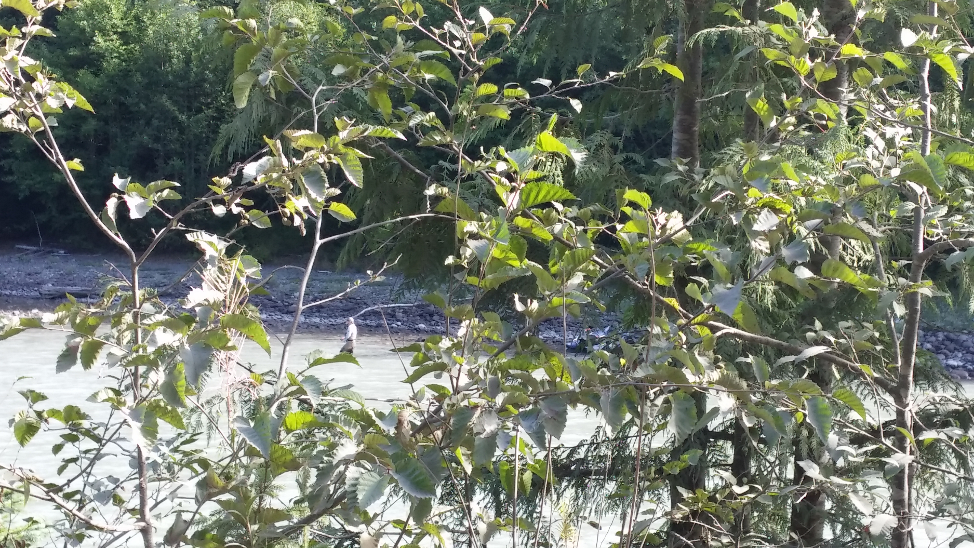 20140814_095850.jpg
