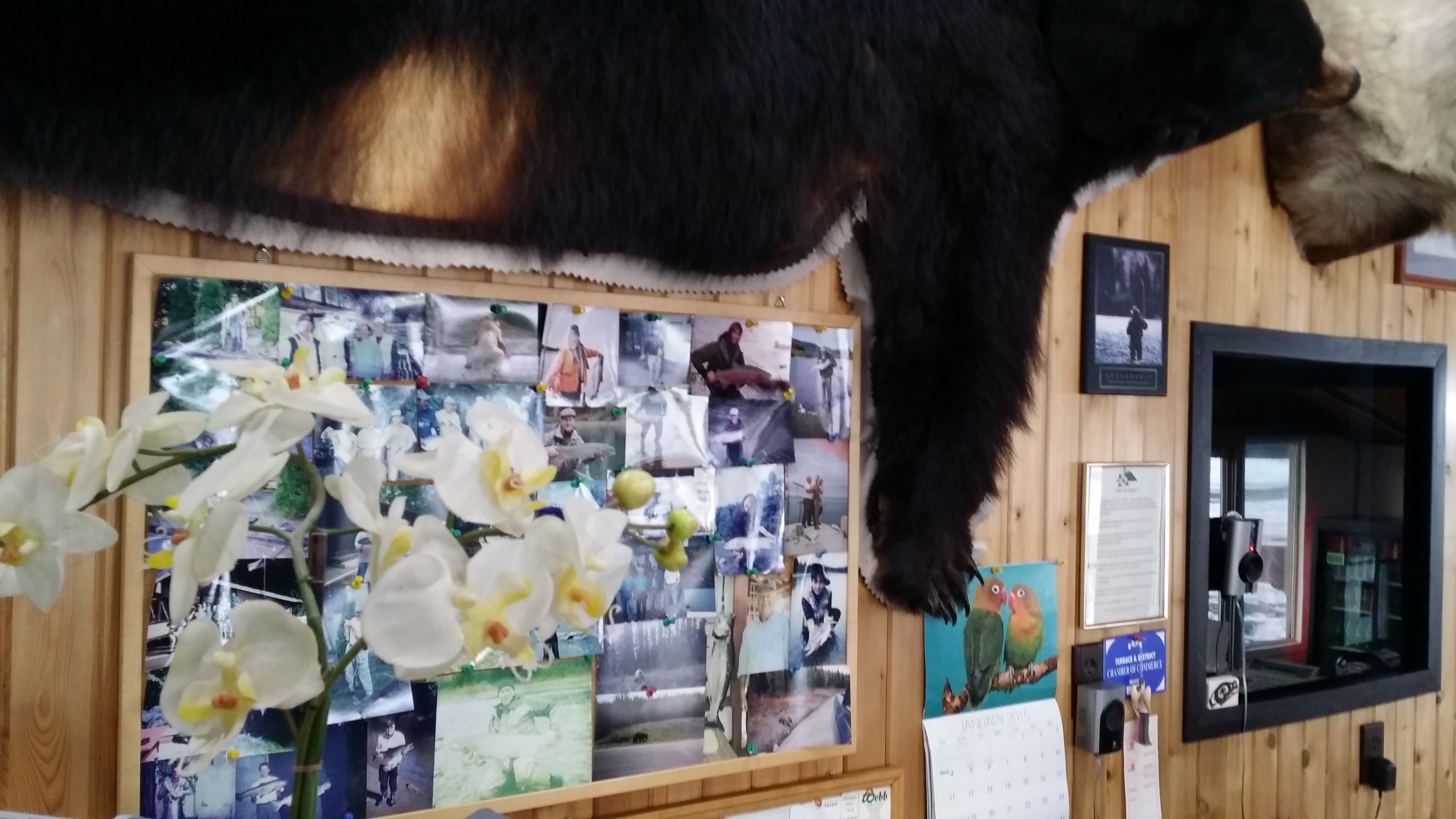 20150110_153428.jpg