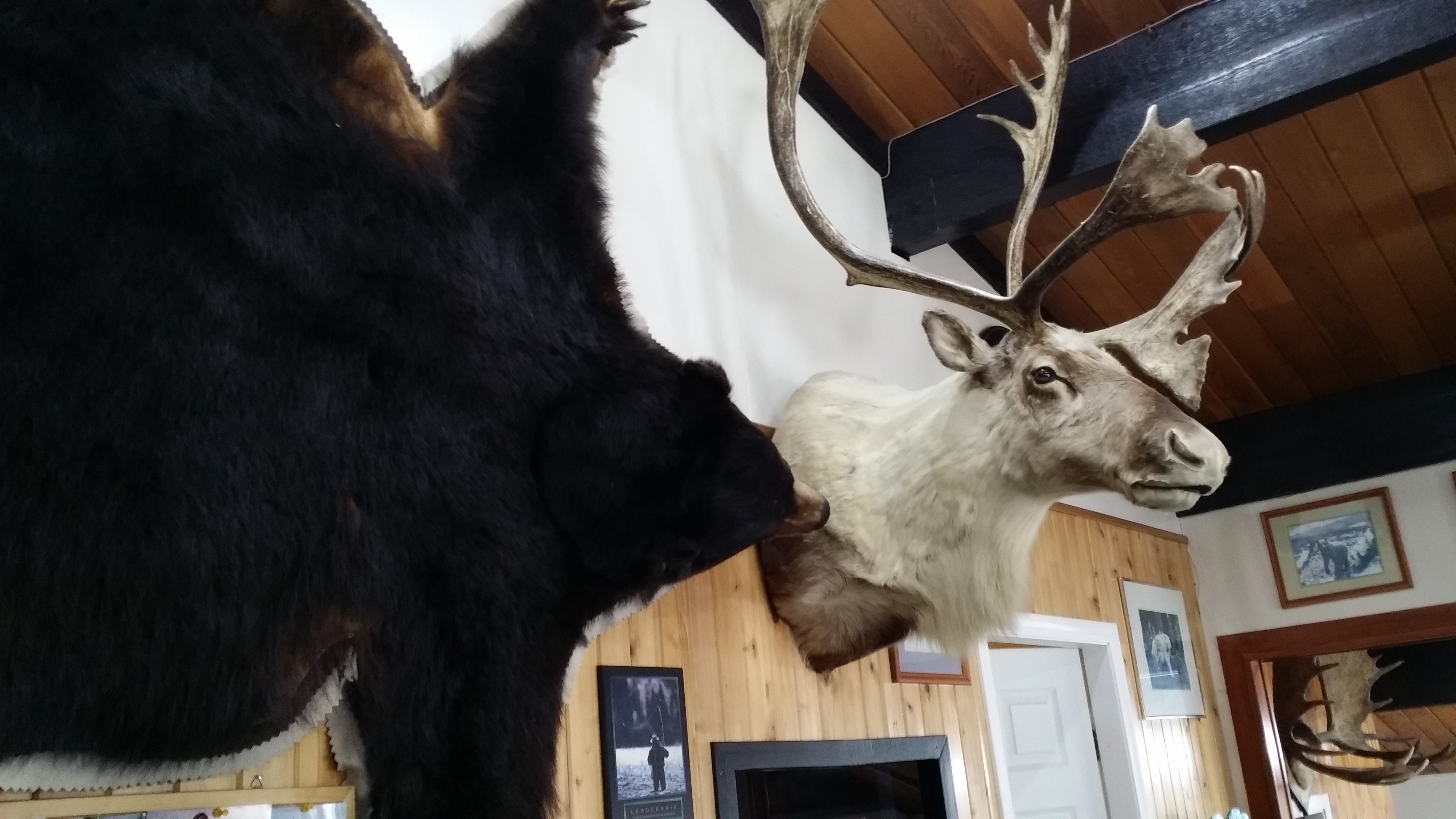 20150110_153422.jpg