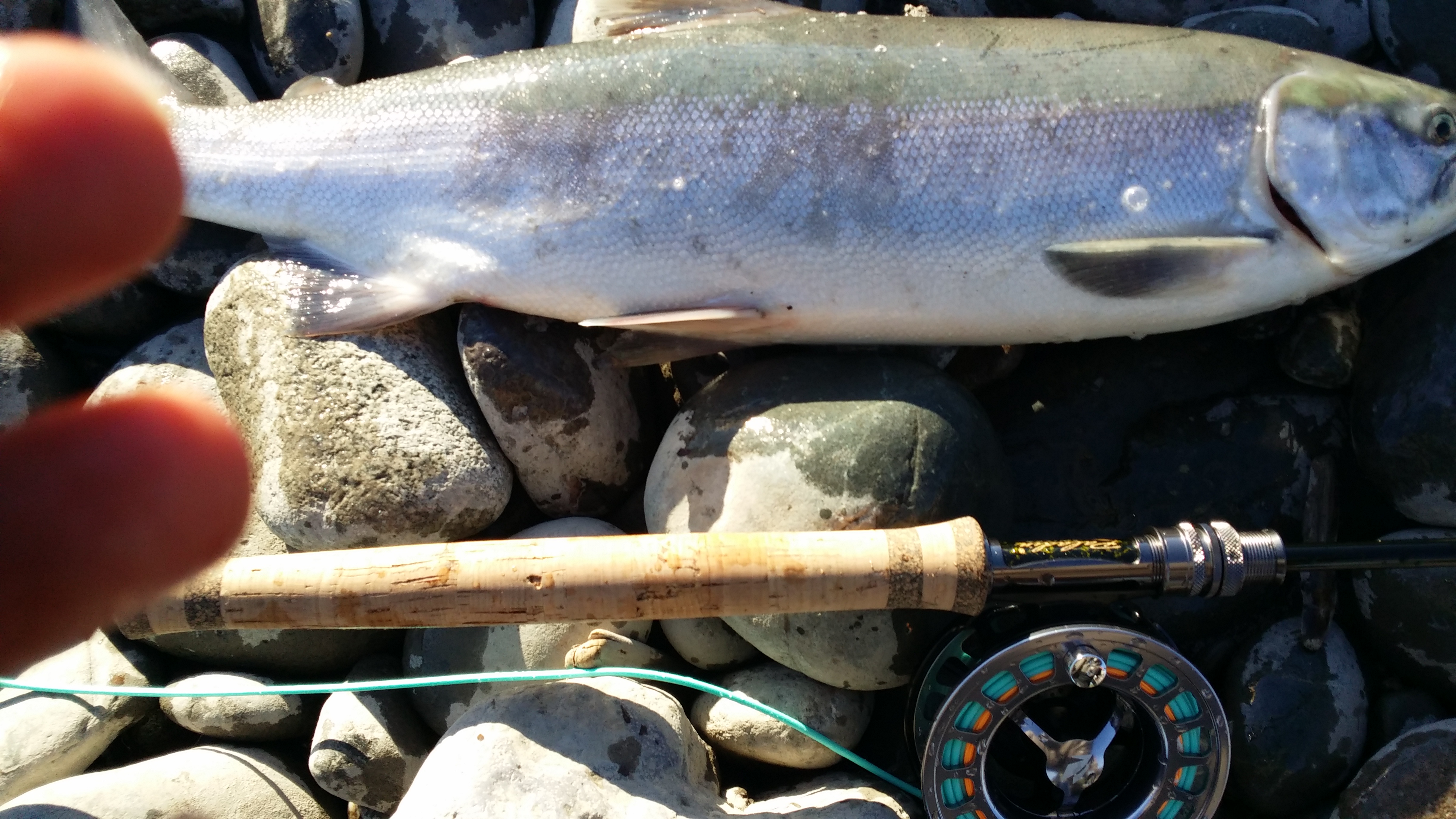 20140813_190922.jpg