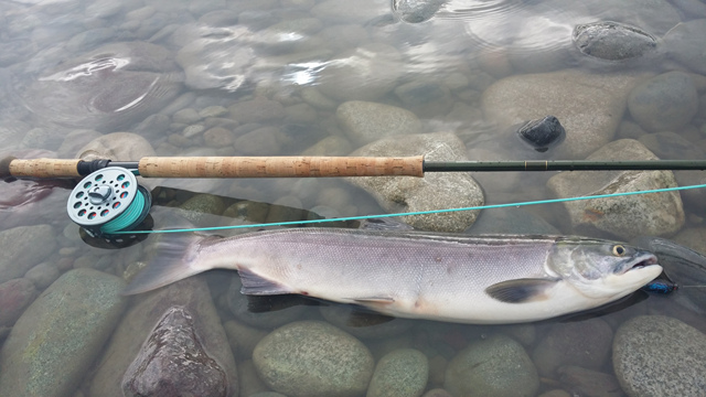 20140816_100840.jpg