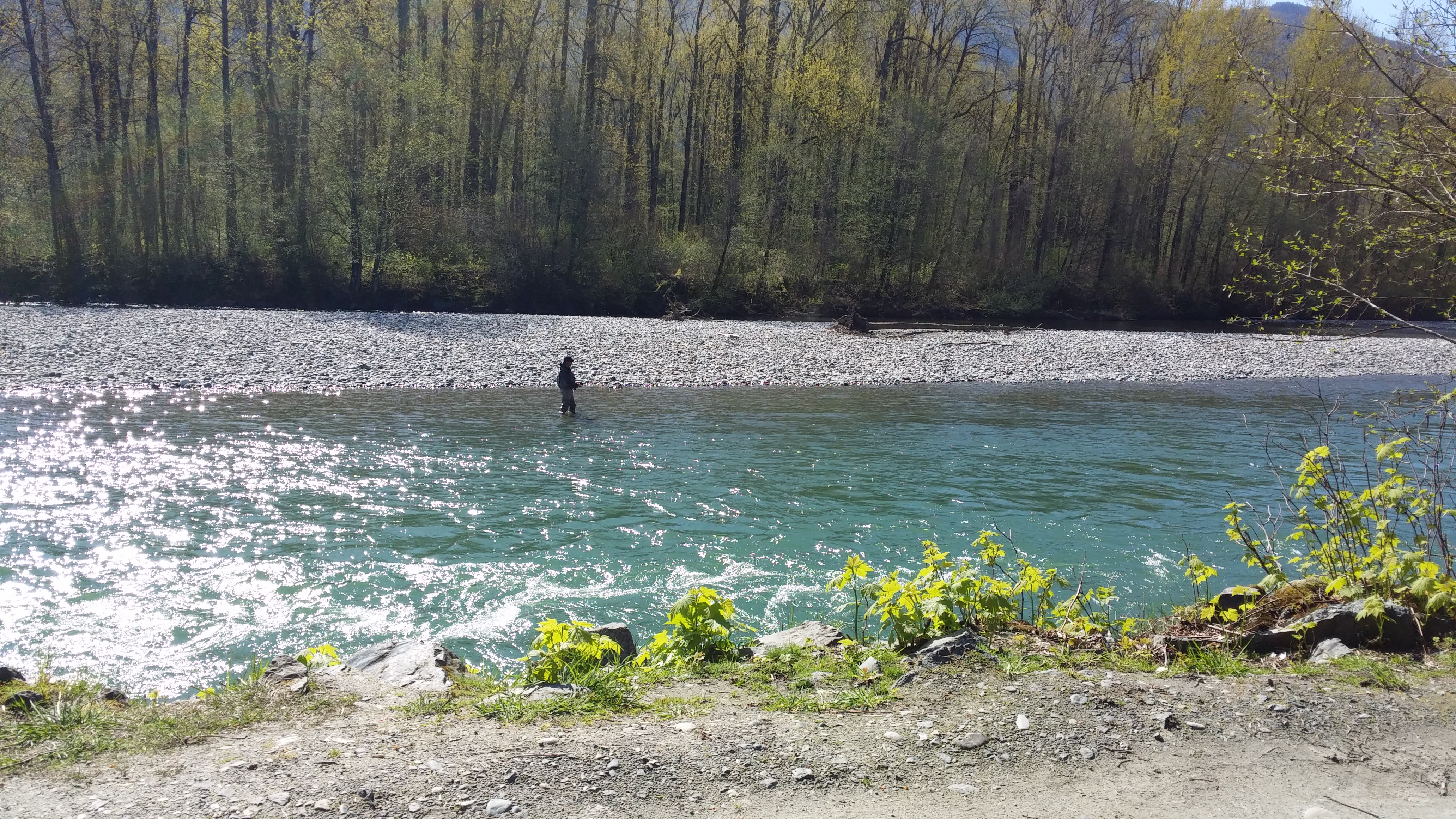 20140412_110620.jpg