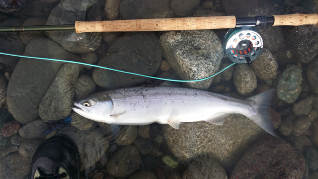 20140816_093910.jpg