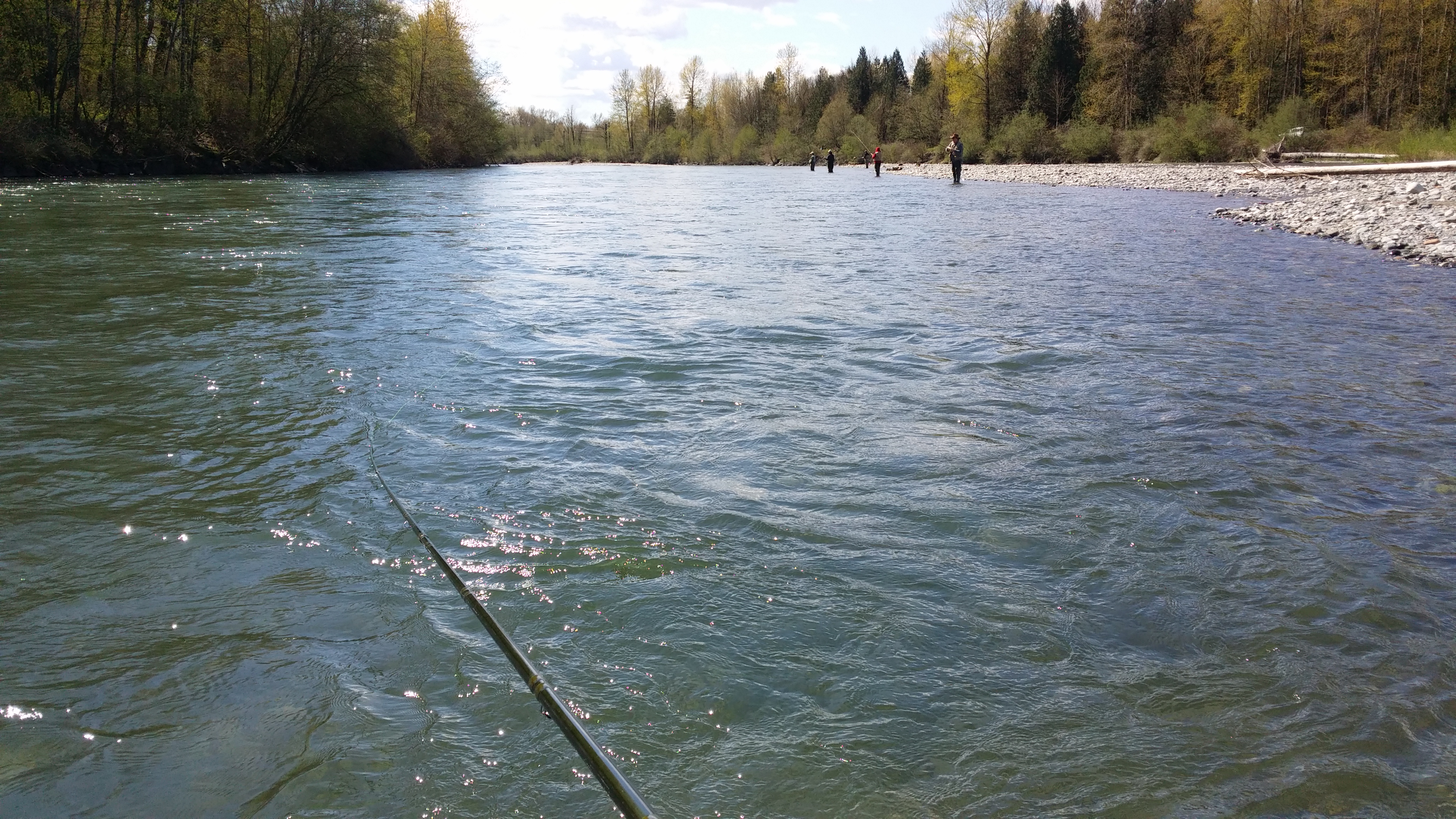 20140412_135051.jpg