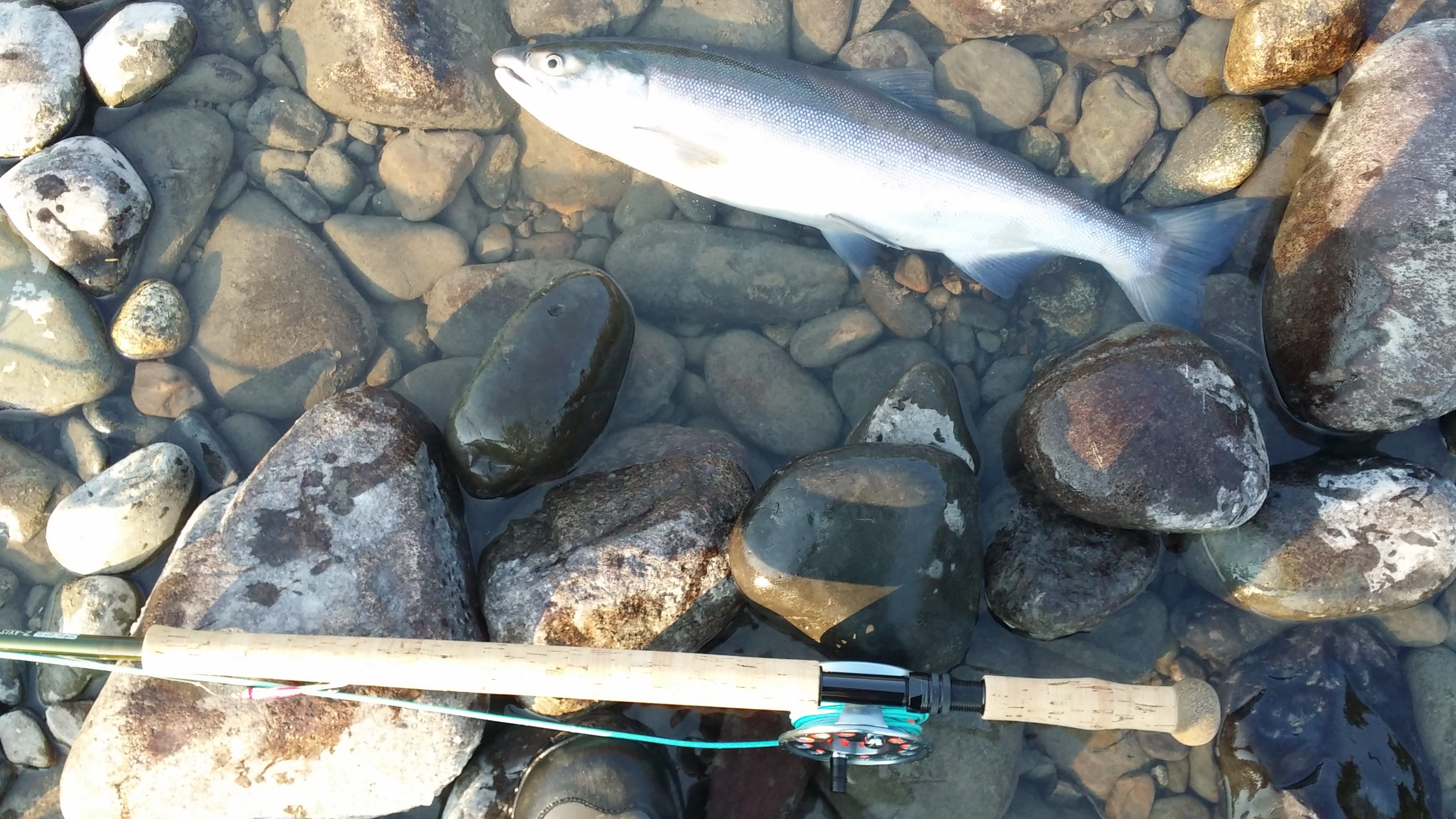 20140811_190144.jpg