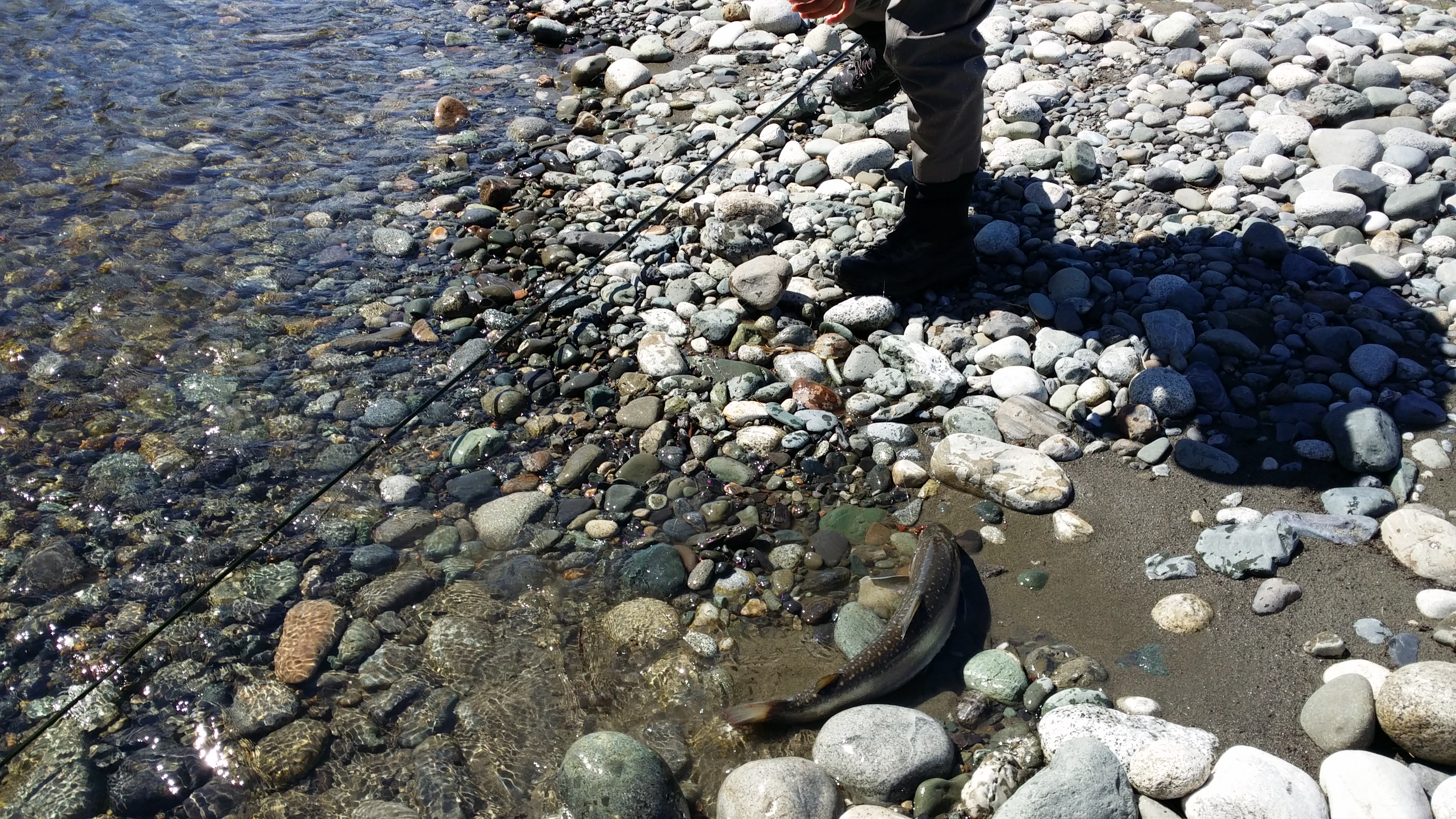 20140412_132945.jpg
