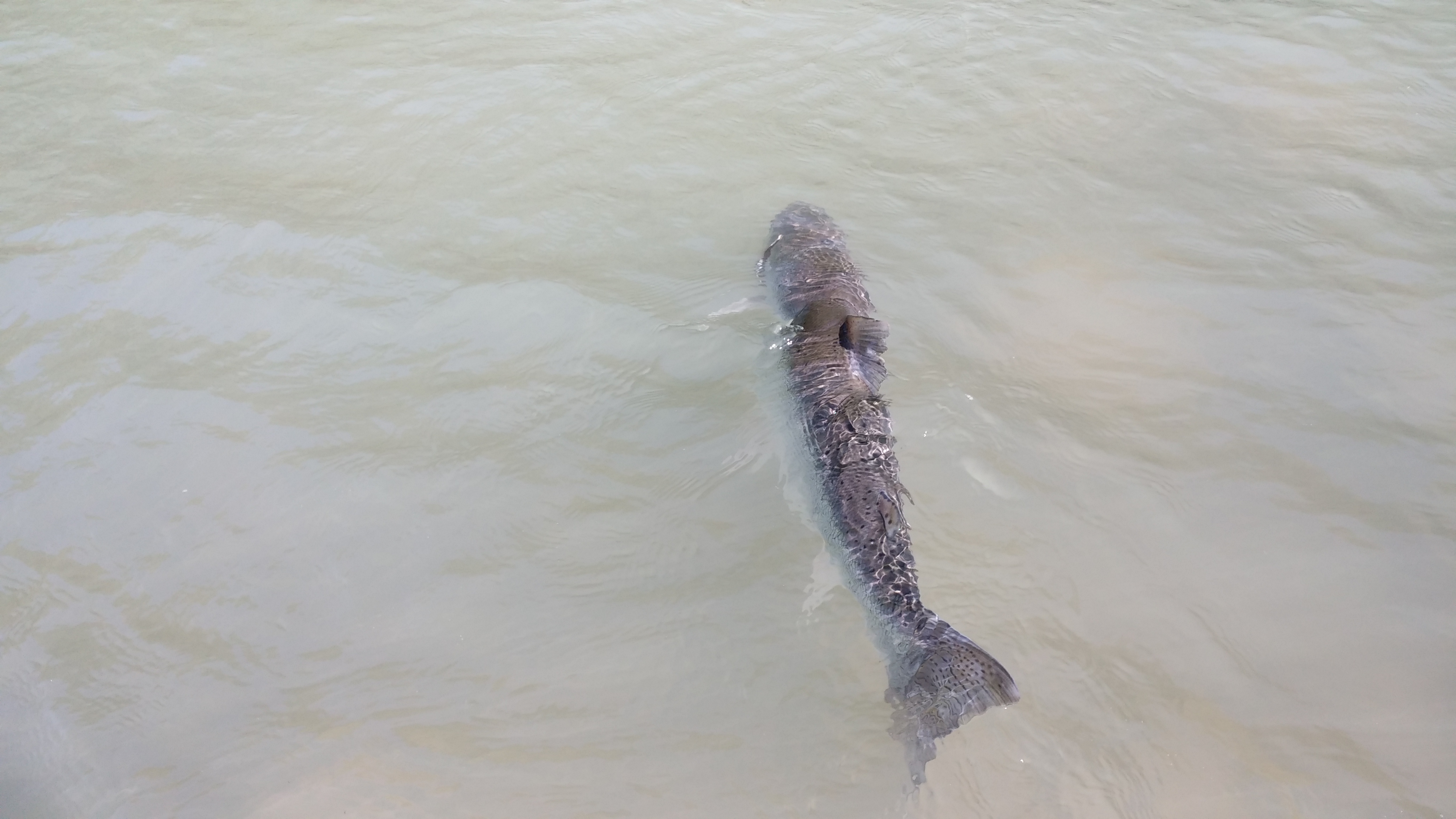 20140811_104236.jpg