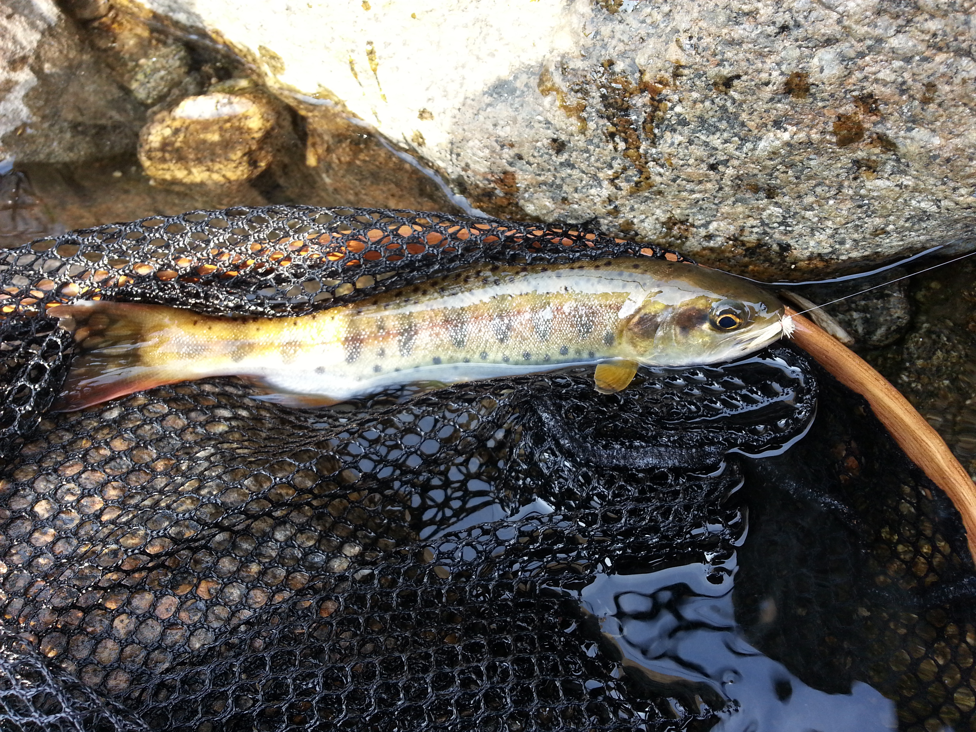 20140324_160235.jpg