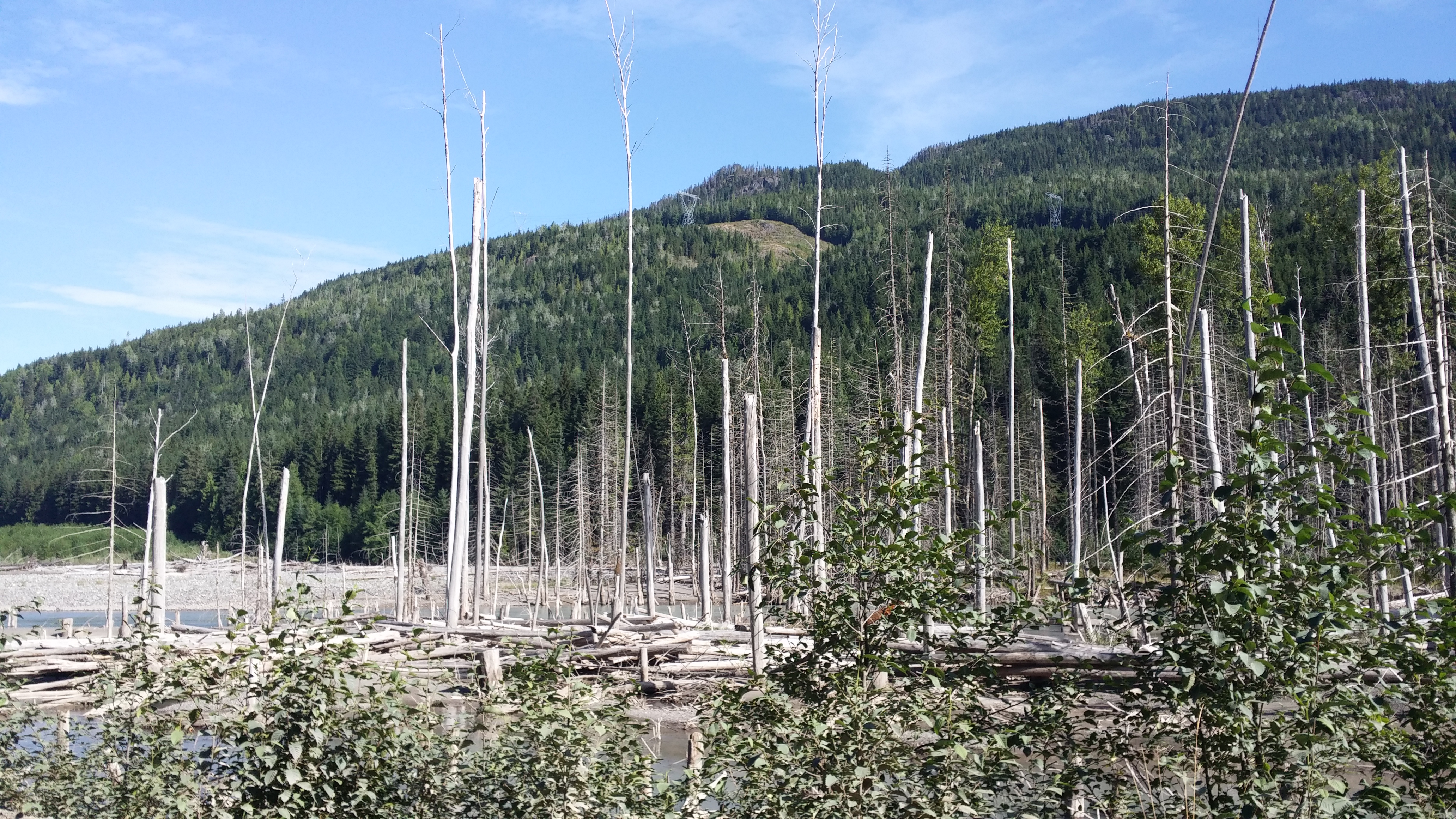 20140814_100810.jpg