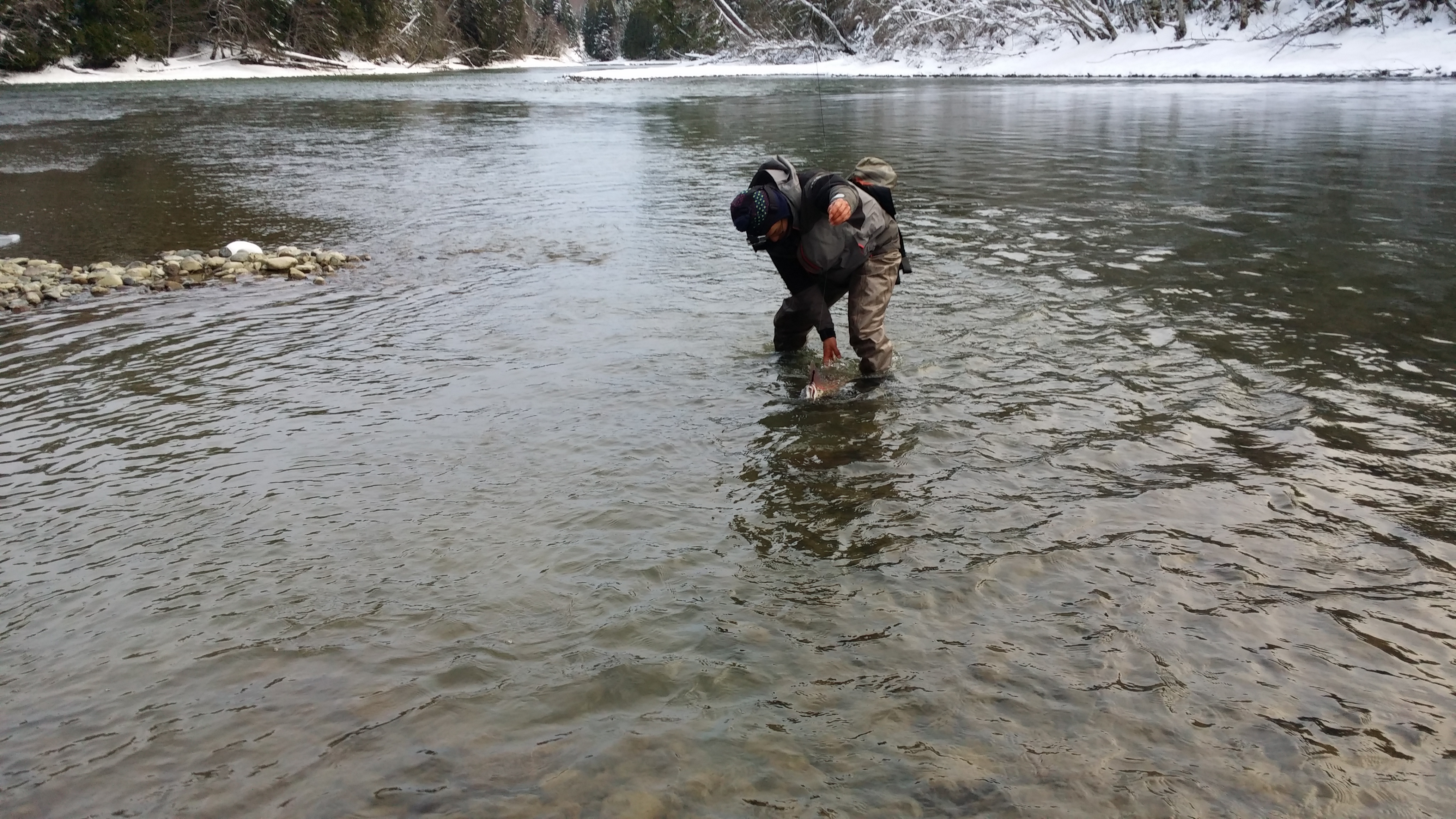 20150110_143111.jpg