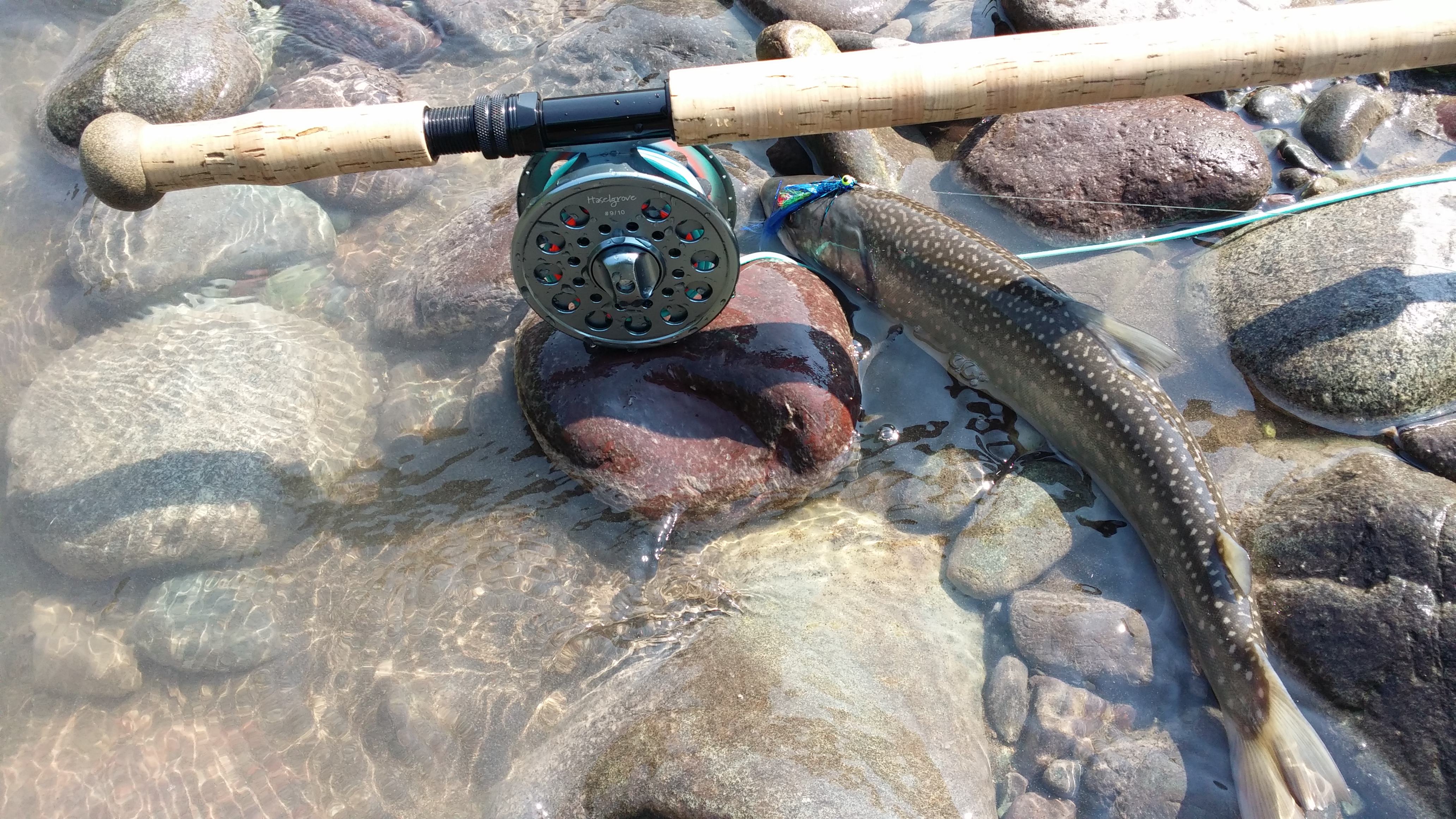 20140811_123750.jpg