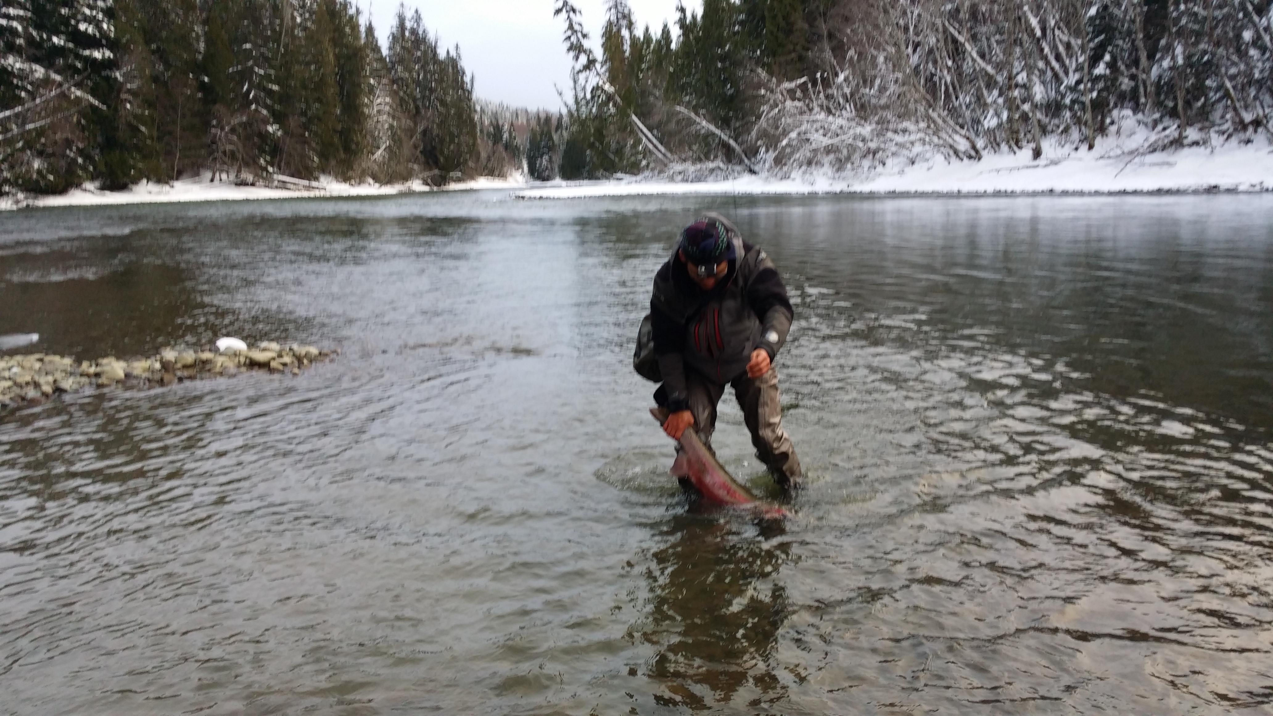 20150110_143117.jpg