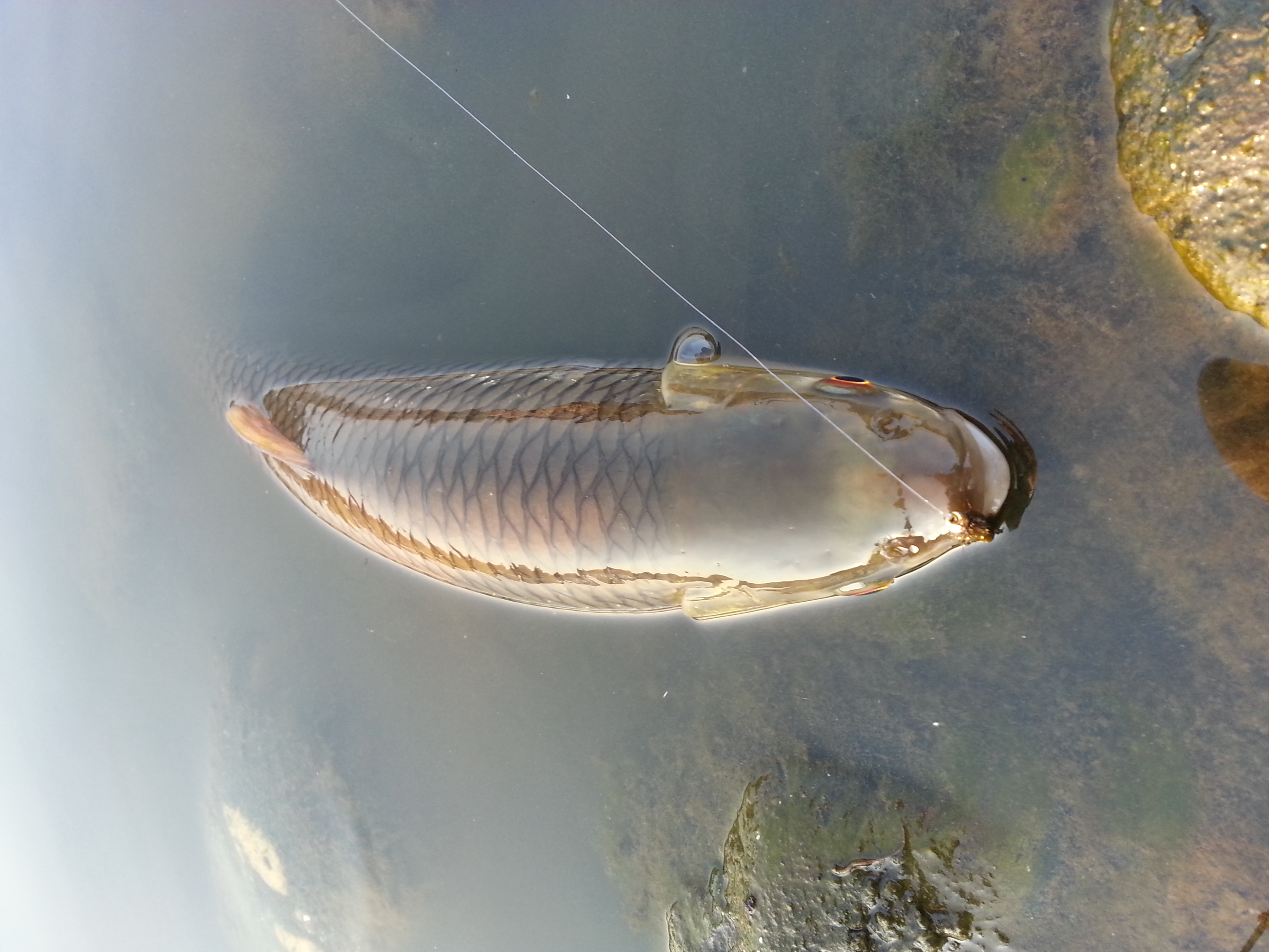 20140322_174136.jpg