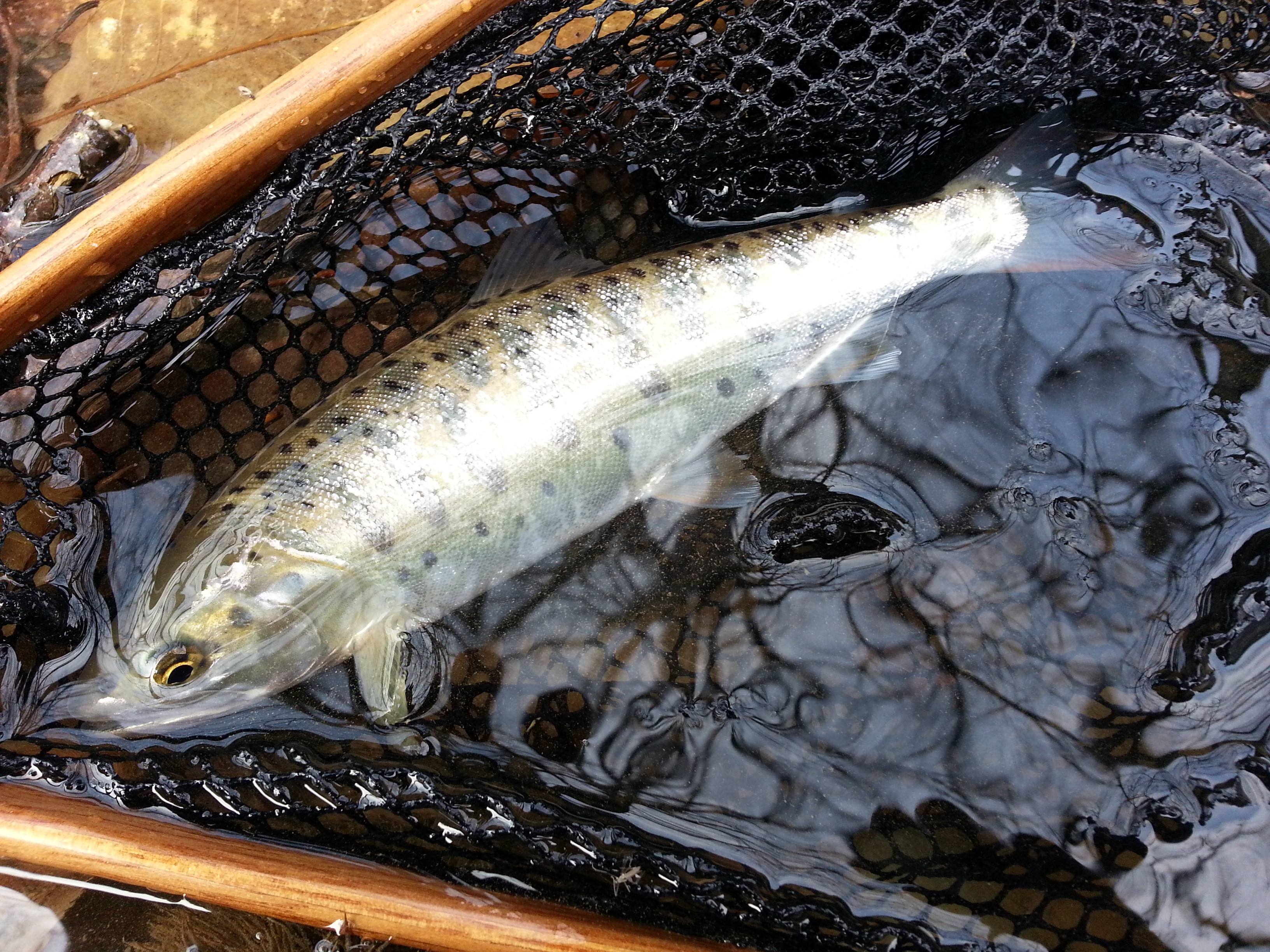 20140326_143739.jpg